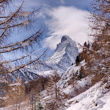 Chalet Zen Zermatt, 100M From Ski Lift And Piste المظهر الخارجي الصورة