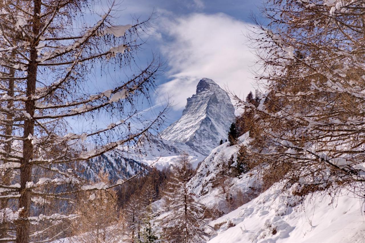 Chalet Zen Zermatt, 100M From Ski Lift And Piste المظهر الخارجي الصورة